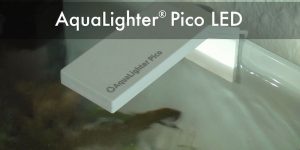 Aqualighter® Pico LED für Nano Aquarien