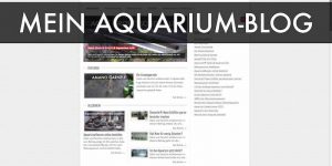 Mein Aquarium-Blog