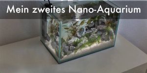 Mein zweites 12 Liter Nano Aquarium